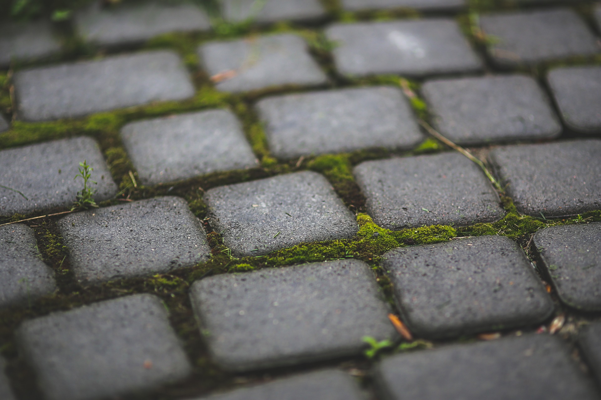 Pflasterarbeiten Gartenbau Hamburg